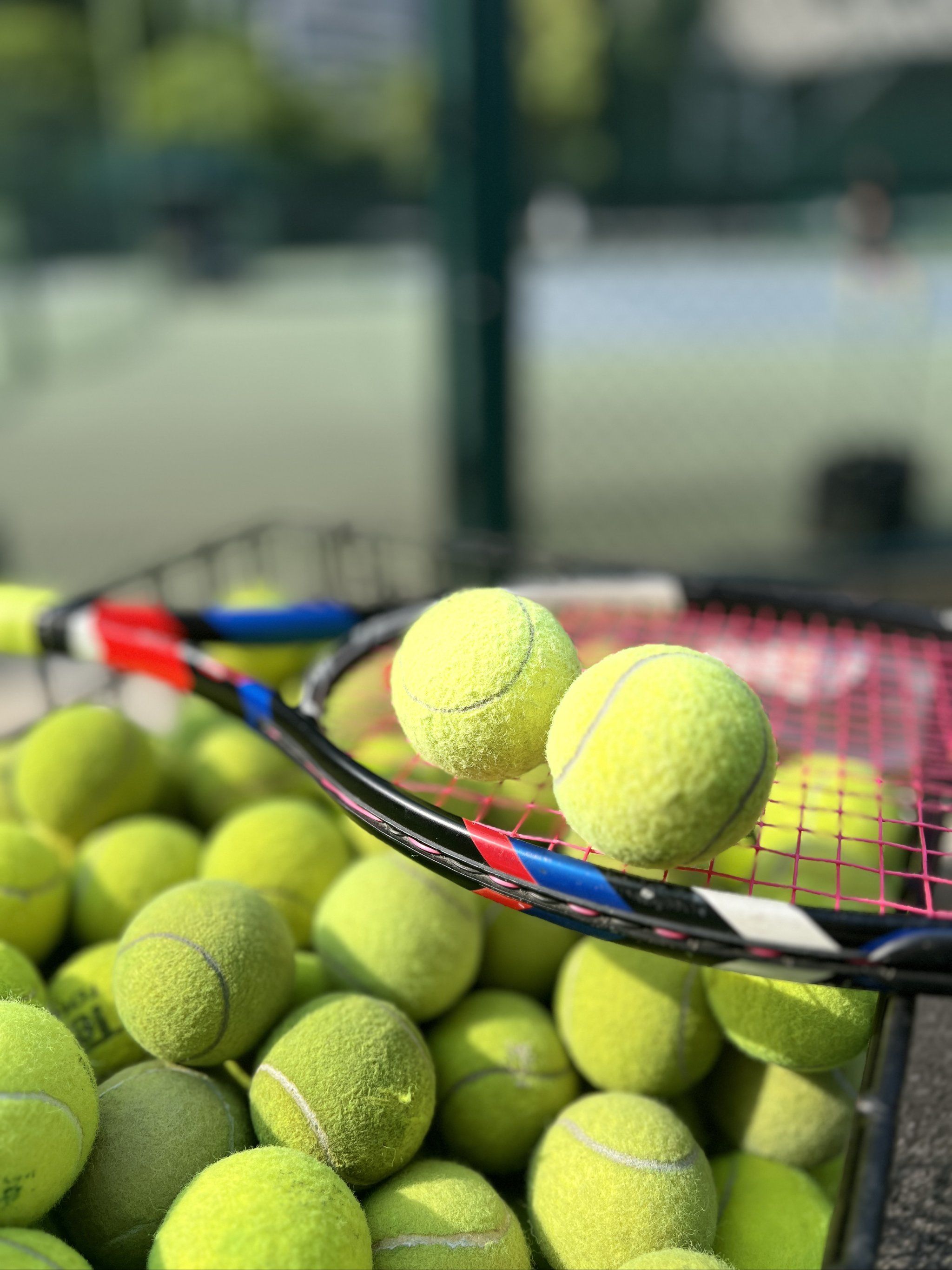 为了自己为 为了自己为