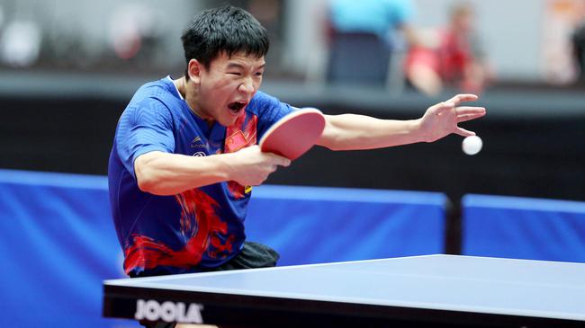 利用的洞察 利用的洞察